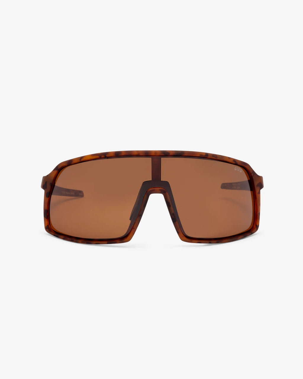TULUM BROWN TURTLE