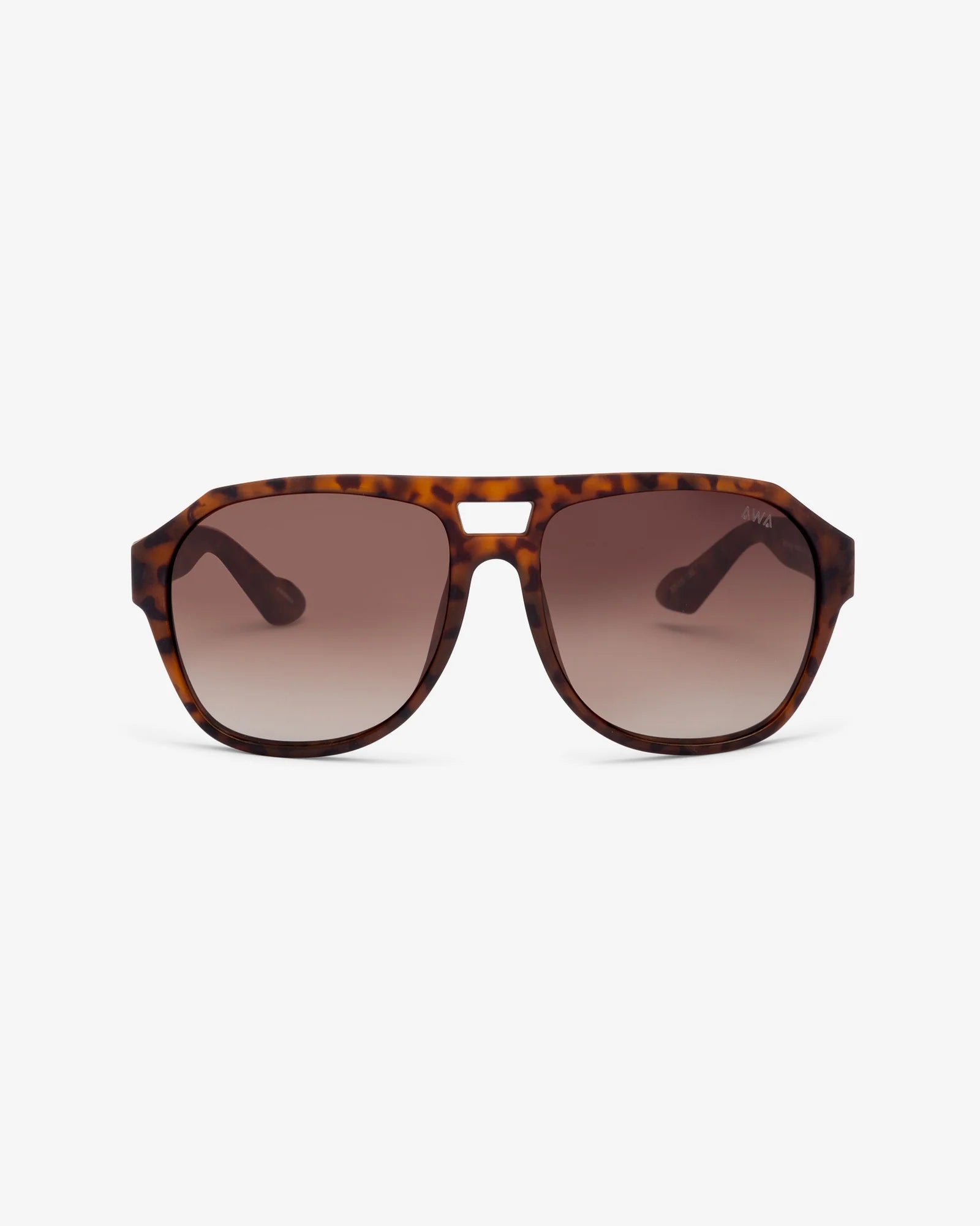 MAVERICK BROWN TURTLE
